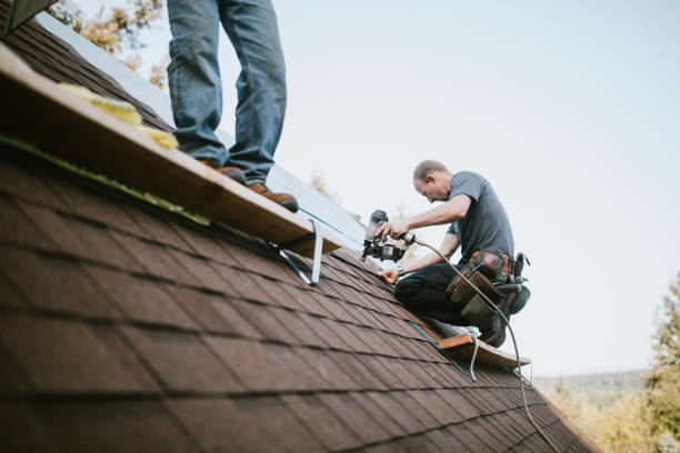 Professional Roofing Contractor in Arcadia, CA